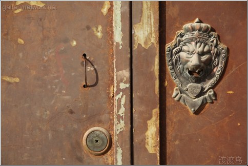 lion door