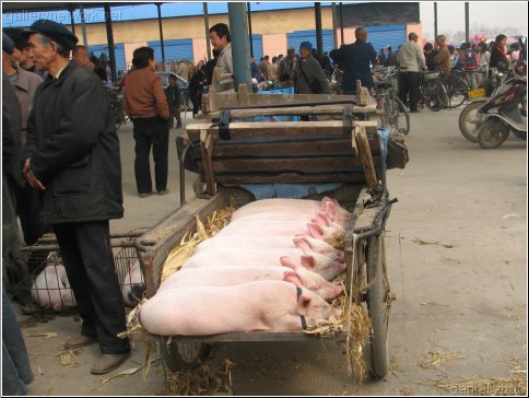 pork market