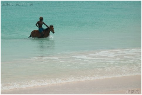 horse back bahamas