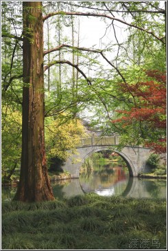 water bridge