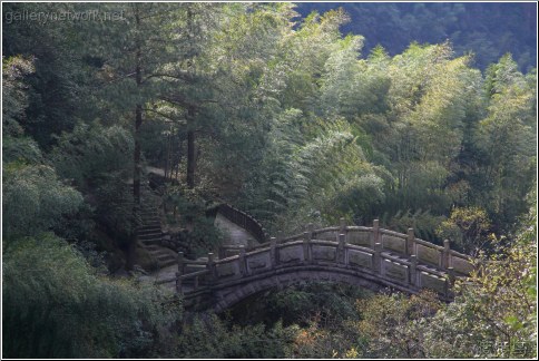 bridge in bamboo
