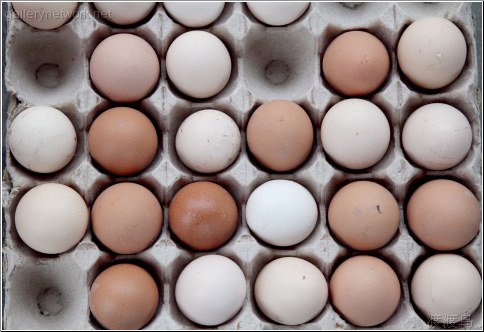 assorted eggs