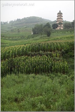 corn stalks pagoda