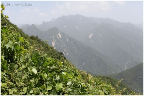 qinling mountainscape