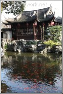 chinese garden - 渡渡鸟 .