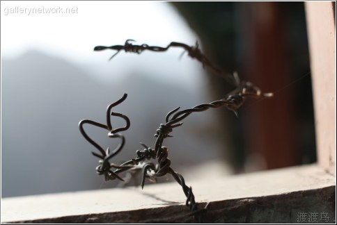 barbed wire