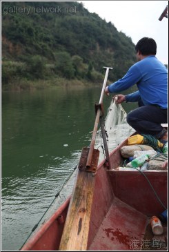 silver fish net fishing