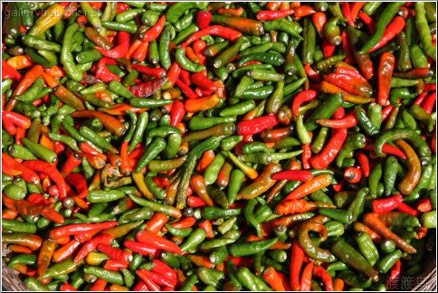 spicy pepper