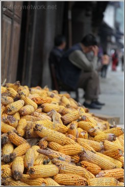 corn husks