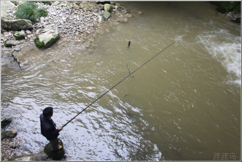 taiping fishing