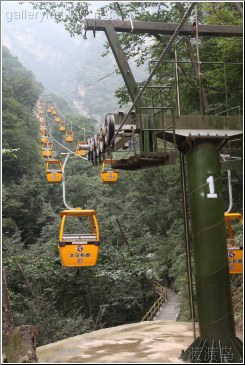 bottom yellow cars