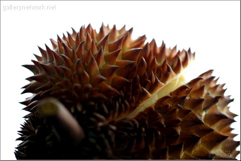 durian sillouette