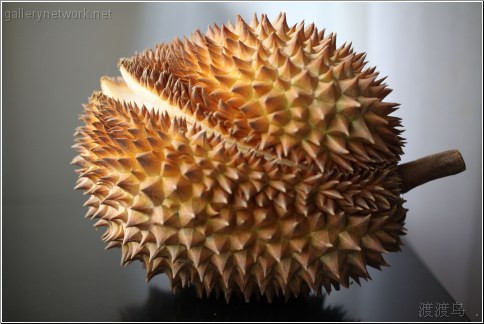 fragrant durian