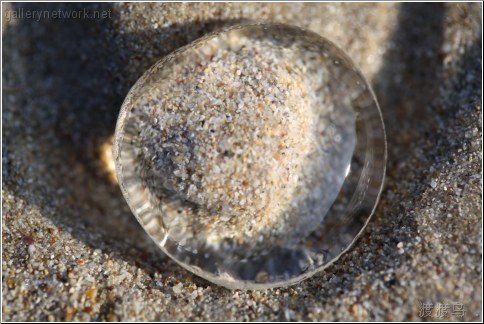 magnified jellyfish