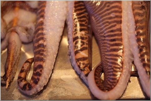 octopus legs