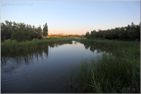 olympic green lake