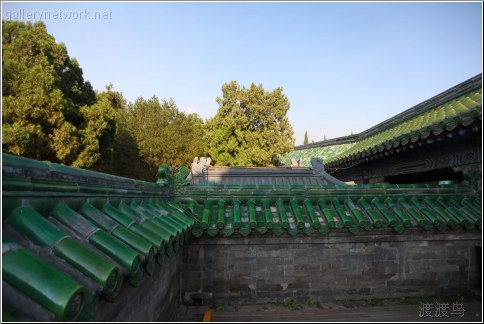 emerald roof tiles