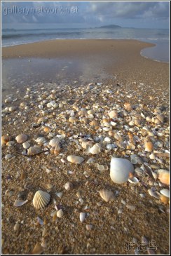 sea shells 海南三亚海滩