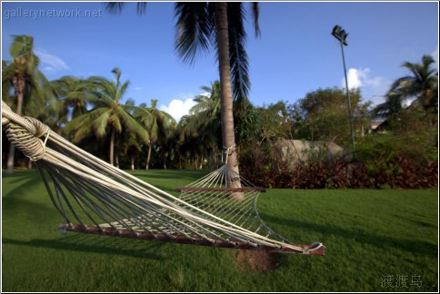 tropical hammock