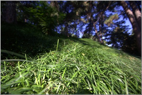 grass waterfall