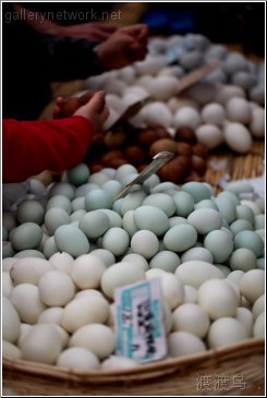 duck egg market