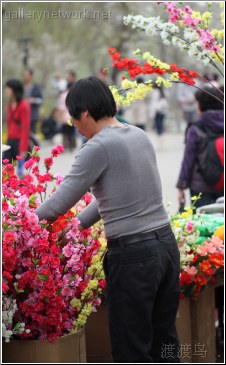 flower salesman