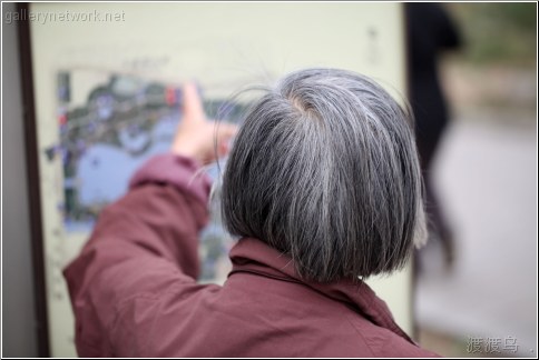 old lady checks map