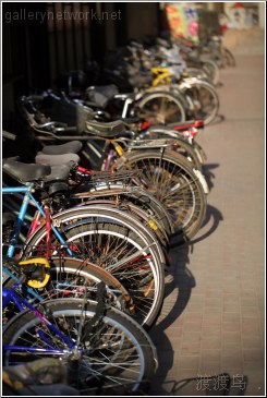beijing bike parking