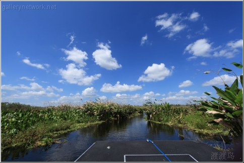 florida airboat adventure