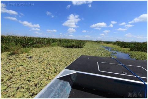 airboat route