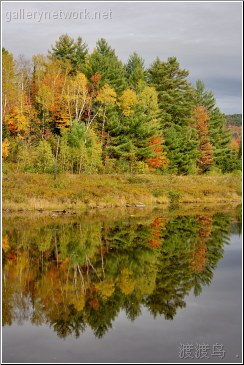 lake reflections