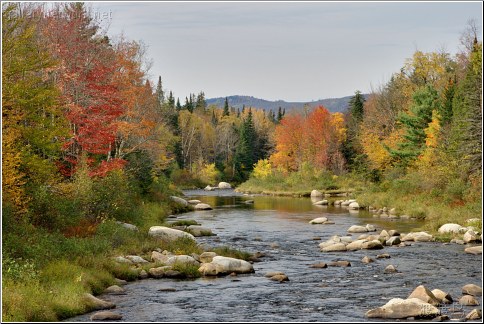 new hampshire stream