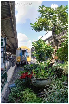 thai tropical train