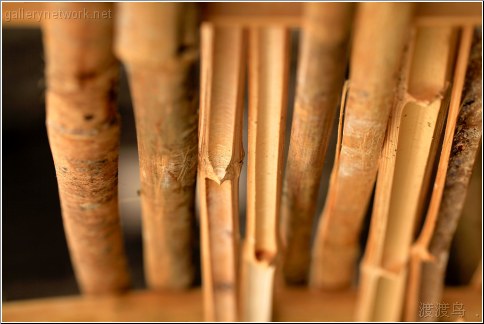 bamboo cut