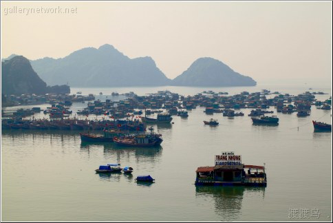 catba boat scene