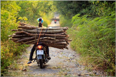 log transportation