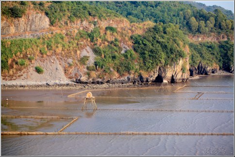 fishing coastal scene