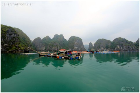 halong floating village