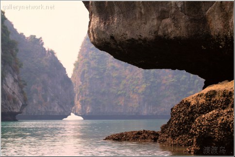 low tide halong