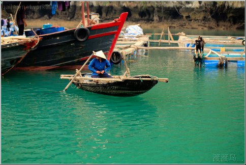 bamboo boat