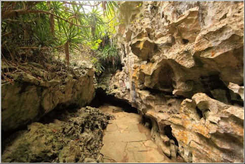 stone path tunnel