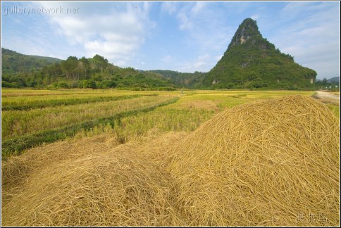 pile of hay