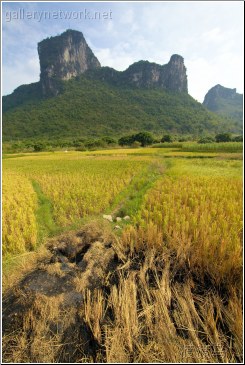 guangxi scenery