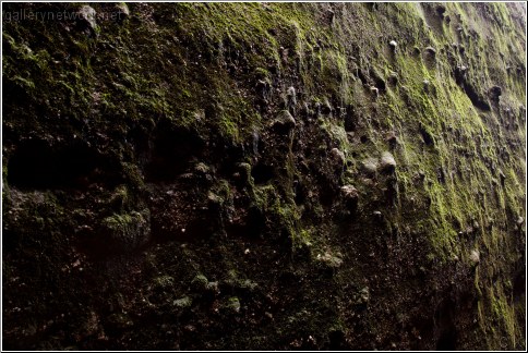 moss rocks texture
