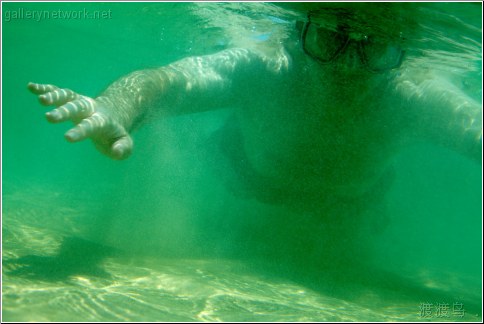 ocean swimming