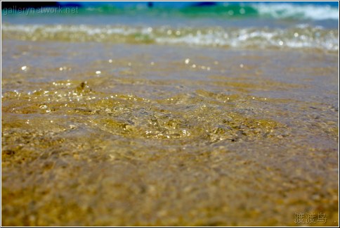 shallow sandy water