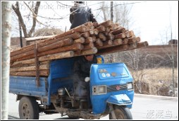 wood hauler