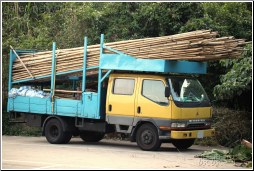 bamboo truck