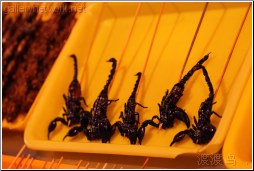 black scorpion snacks