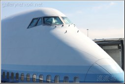 big whale 747